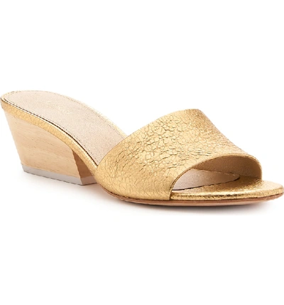 Shop Botkier Carlie Mule In Distressed Gold Leather