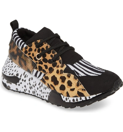 Como Mezquita planes Steve Madden Women's Cliff Sneakers In Zebra/leopard Multi | ModeSens