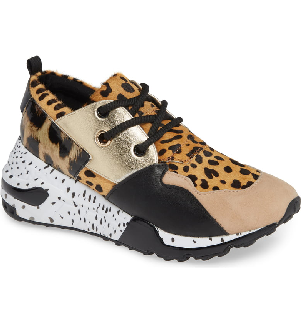 steve madden cliff animal print sneakers