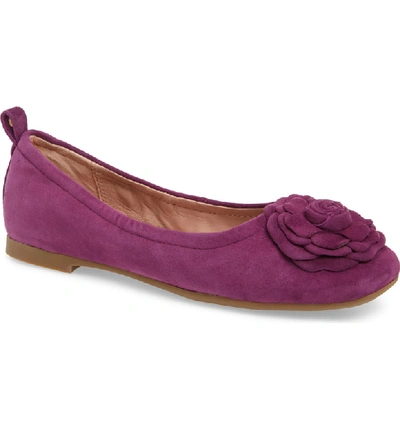 Taryn Rose Rosalyn Ballet Flat In Violet Suede | ModeSens