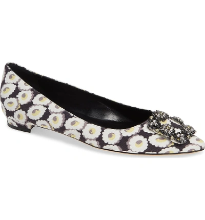 Shop Manolo Blahnik Hangisi Floral Pointy Toe Flat In White Floral Print