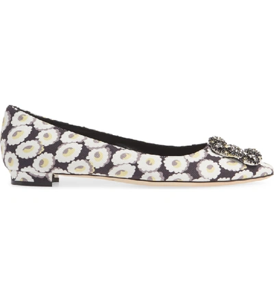 Shop Manolo Blahnik Hangisi Floral Pointy Toe Flat In White Floral Print