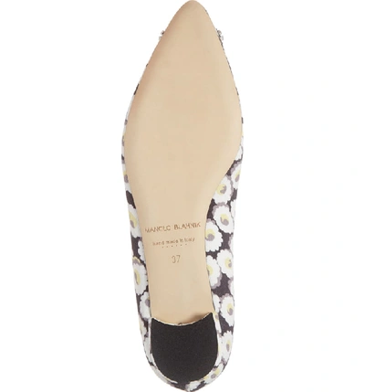 Shop Manolo Blahnik Hangisi Floral Pointy Toe Flat In White Floral Print