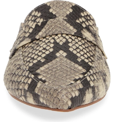 Steve madden flavor natural snake 2025
