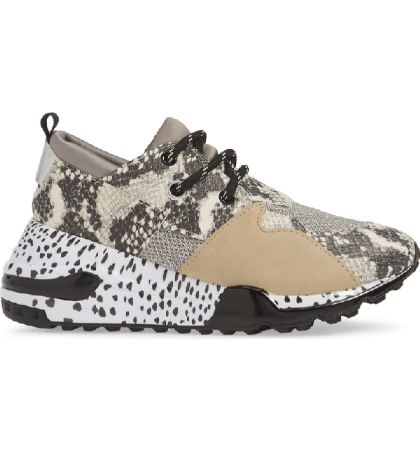 steve madden cliff natural snake