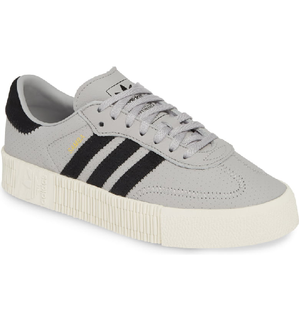 grey samba rose