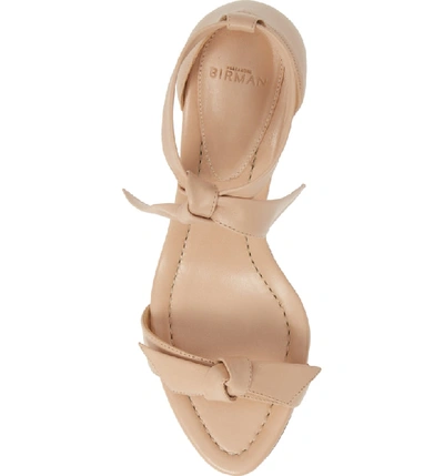 Shop Alexandre Birman Clarita Cork Wedge Sandal In Light Sand