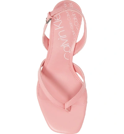 Shop Calvin Klein Monty Thong Sandal In Strawberry Ice Leather