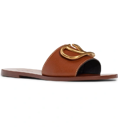 Shop Valentino Brooch Slide Sandal In Brown