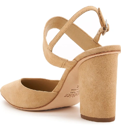 Shop Botkier Halle Quarter Strap Pointy Toe Pump In Biscuit Suede