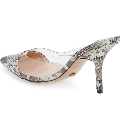 Shop Tony Bianco Evon Mule In Natural Snake Leather