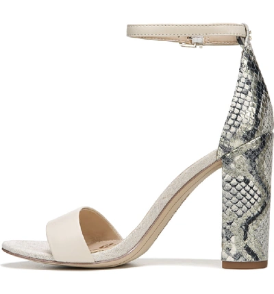 Shop Sam Edelman Yaro Ankle Strap Sandal In Modern Ivory/ Black/ White