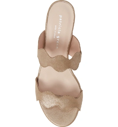 Shop Patricia Green Palm Beach Slide Sandal In Camel Metallic Suede