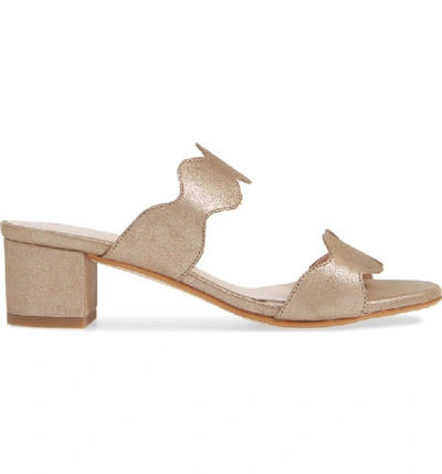 Shop Patricia Green Palm Beach Slide Sandal In Camel Metallic Suede