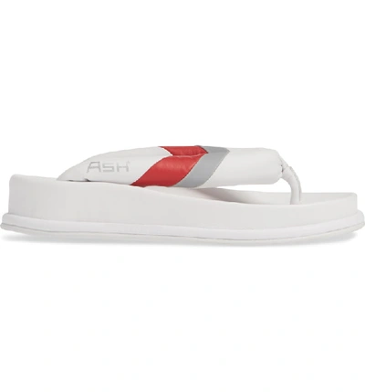 Shop Ash Tonic Stripe Logo Flip Flop In White