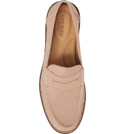 Shop Sperry Seaport Penny Loafer In Rose Dust Leather