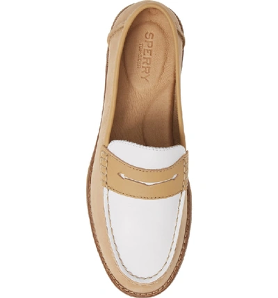 Shop Sperry Seaport Penny Loafer In Tan/ White Leather
