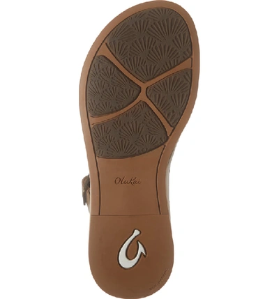 Shop Olukai Kahiko Ko'o Sandal In Sting/ Tan Leather