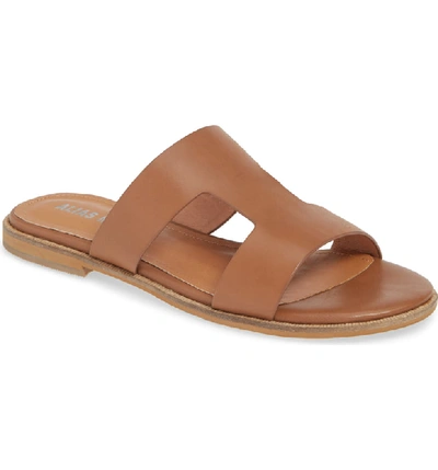 Shop Alias Mae Thaia Cutout Slide Sandal In Light Tan Leather