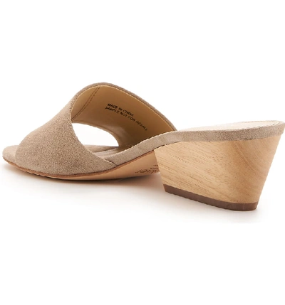 Shop Botkier Carlie Mule In Taupe Suede