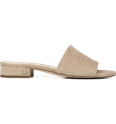 Shop Sam Edelman Kenz Slide Sandal In Oatmeal