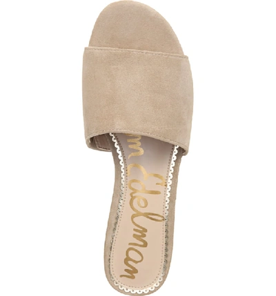 Shop Sam Edelman Kenz Slide Sandal In Oatmeal