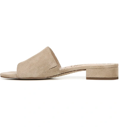 Shop Sam Edelman Kenz Slide Sandal In Oatmeal