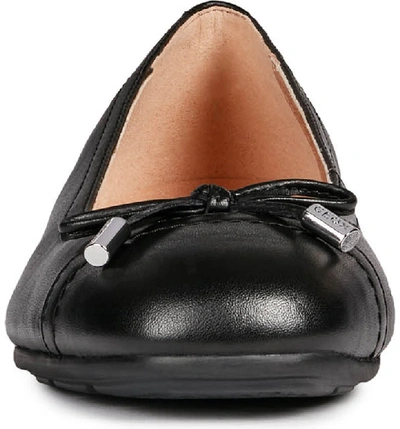 Shop Geox Annytah Cap Toe Flat In Black Leather