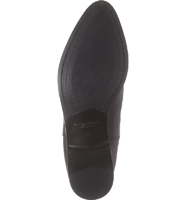 frances sister vagabond