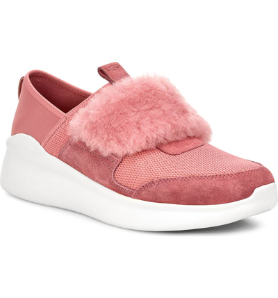 Ugg Pico Sneaker With Genuine Shearling Trim In Pink Dawn | ModeSens