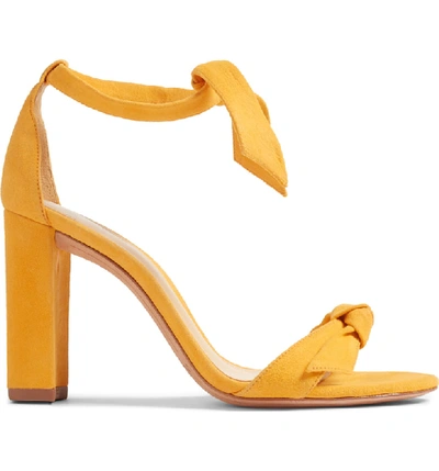 Shop Alexandre Birman Clarita Knot Sandal In Sunflower