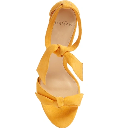 Shop Alexandre Birman Clarita Knot Sandal In Sunflower