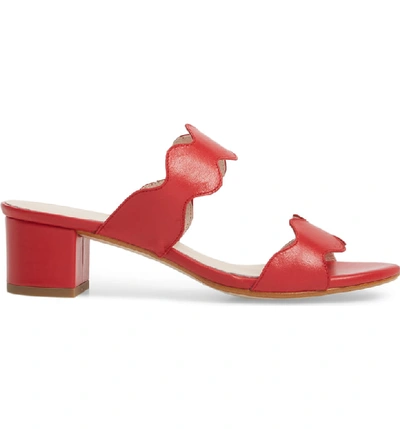 Shop Patricia Green Palm Beach Slide Sandal In Red Leather