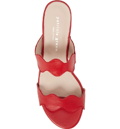 Shop Patricia Green Palm Beach Slide Sandal In Red Leather