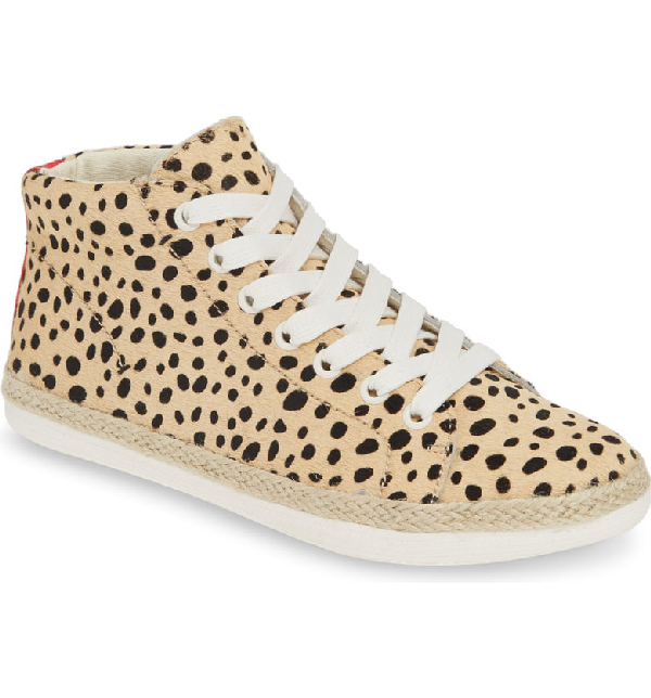 dolce vita cheetah sneakers