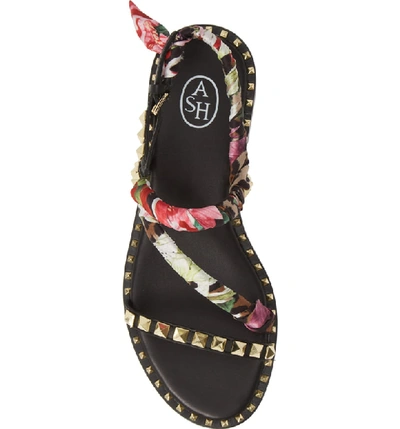 Shop Ash Pattaya Sandal In Black Floral/ Cheetah Print