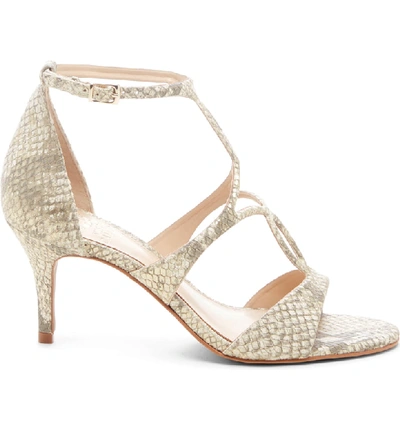Shop Vince Camuto Payto Sandal In Taupe Shine Leather