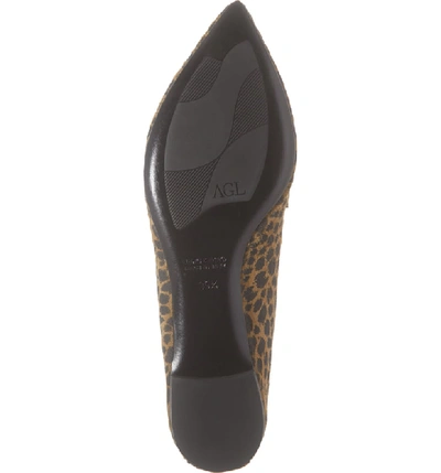 Shop Agl Attilio Giusti Leombruni Softy Pointy Toe Moccasin Loafer In Leopard Leather