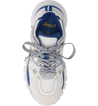 Shop Ash Sneaker In White/ Silver/ Navy