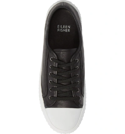 Eileen fisher nod store leather sneaker
