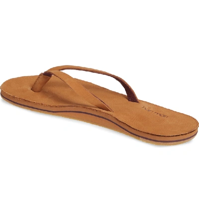 Hari Mari Meadows Flip Flop In Tobacco