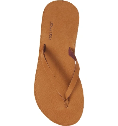 Hari Mari Meadows Flip Flop In Tobacco