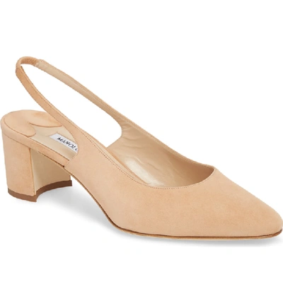 Shop Manolo Blahnik Allurasa Slingback Pump In Camel Suede