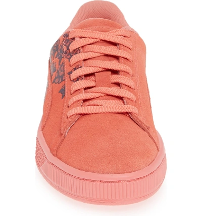 Shop Puma Suede Tol Graphic Sneaker In Shell Pink