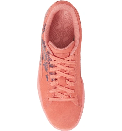 Shop Puma Suede Tol Graphic Sneaker In Shell Pink