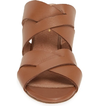 Shop Seychelles Embellishment Slide Sandal In Cognac Leather