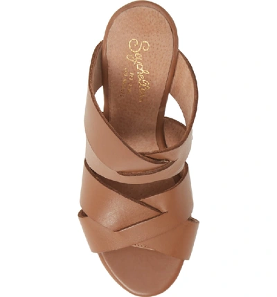 Shop Seychelles Embellishment Slide Sandal In Cognac Leather