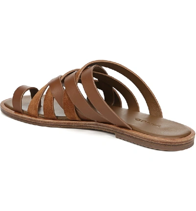 Shop Vince Piers Strappy Toe Loop Sandal In Almond