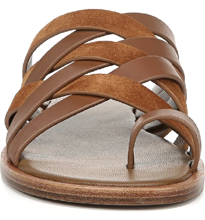 Shop Vince Piers Strappy Toe Loop Sandal In Almond
