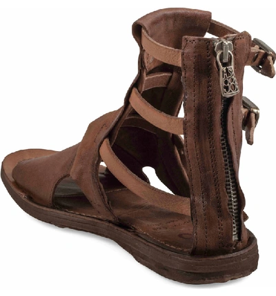Shop As98 Ryde Sandal In Whiskey